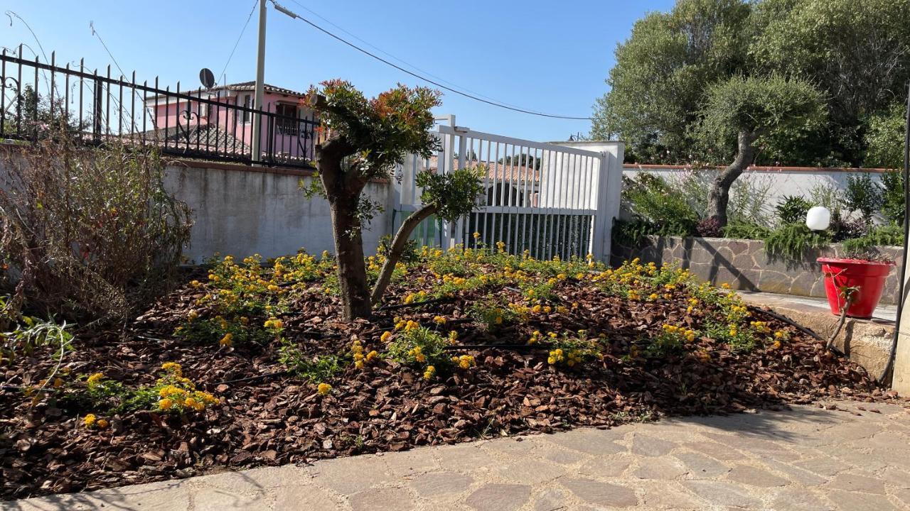 Sardegna - Villa Mirto & Flowers أولبيا المظهر الخارجي الصورة