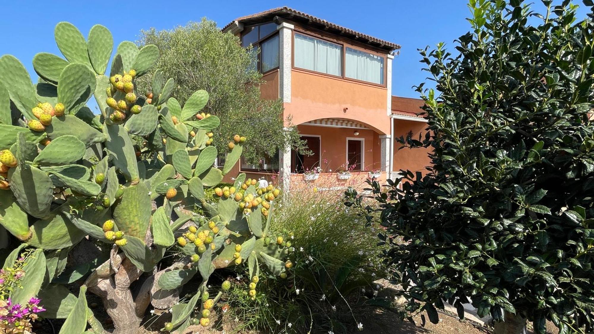 Sardegna - Villa Mirto & Flowers أولبيا المظهر الخارجي الصورة