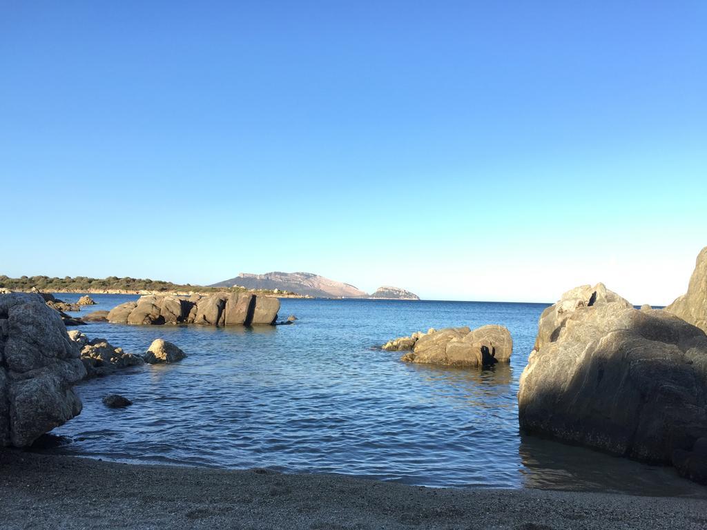 Sardegna - Villa Mirto & Flowers أولبيا المظهر الخارجي الصورة