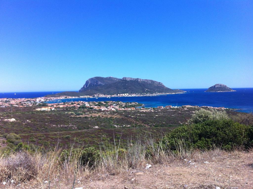 Sardegna - Villa Mirto & Flowers أولبيا المظهر الخارجي الصورة